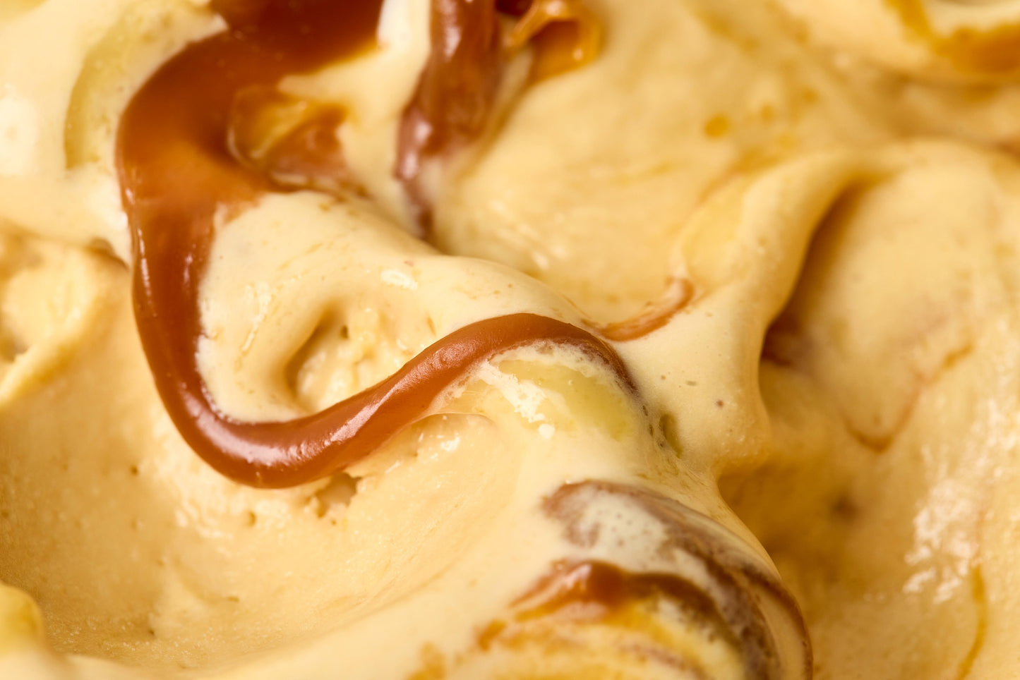 Macadamia Butter Praline